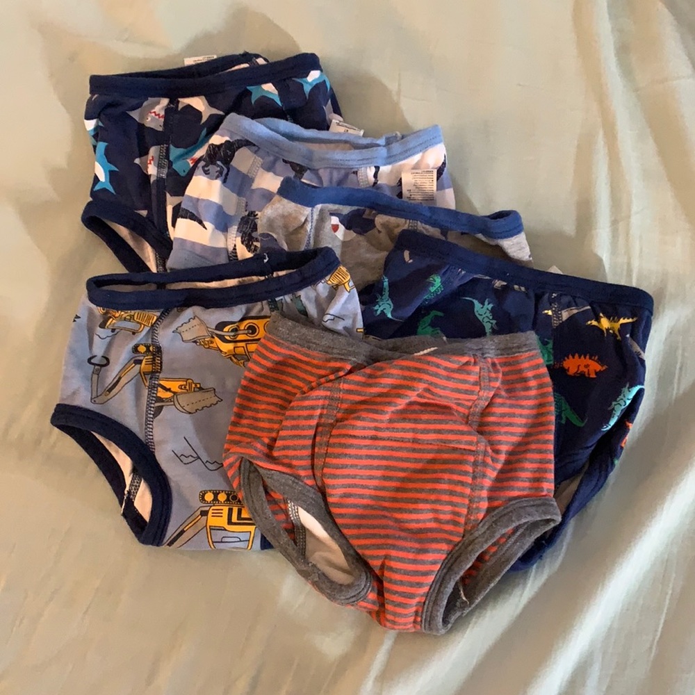 Training underpants